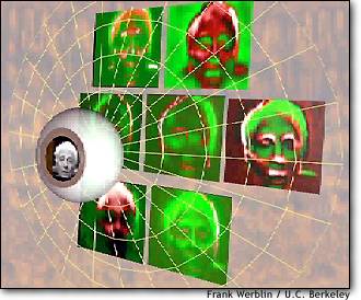 Image: Simulation of vision