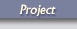 Project