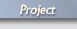 Project